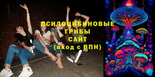 ECSTASY Семикаракорск