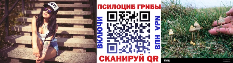 Галлюциногенные грибы Psilocybine cubensis  как найти наркотики  ОМГ ОМГ ССЫЛКА  Мегион 